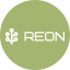 Компания REON Компания REON